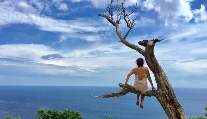 pohon cinta mati